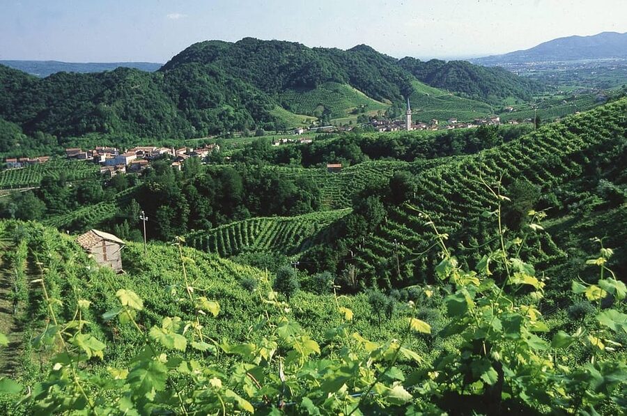 Venice: Prosecco Hills Wineries Tour with Tastings and Lunch - My verdict on the Prosecco Hills day