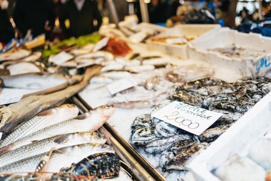 Venice: Rialto Market Tour, Cooking Class, and Lunch - Who will enjoy this class most?