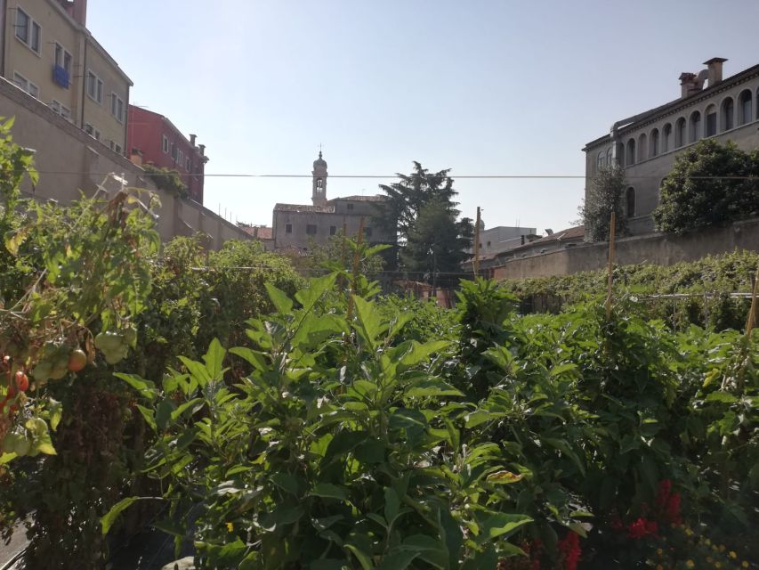 Venice: Secret City Gardens Walking Tour - Venice’s garden world behind the stone walls