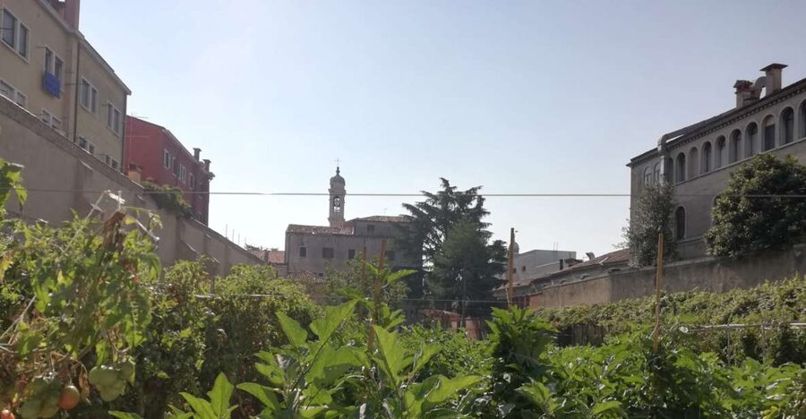 Venice: Secret City Gardens Walking Tour - Private villa gardens and Renaissance details