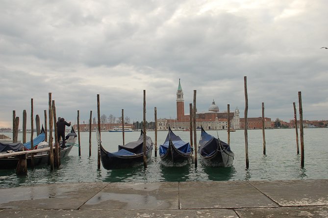 Venice Skip the Line Saint Mark's Basilica and Doge's Palace Private Tour - Practical details that can make or break the visit