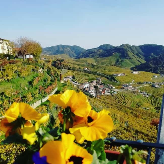 Venice: wine tour tasting along the Unesco Prosecco hills - Key points at a glance