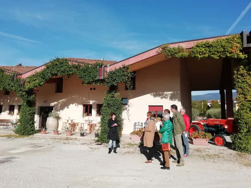 Venice: wine tour tasting along the Unesco Prosecco hills - The guide makes the countryside easier to understand