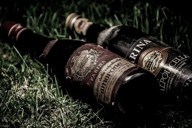Verona area: Wine Tasting Experience in Valpolicella - What the 90-minute itinerary feels like