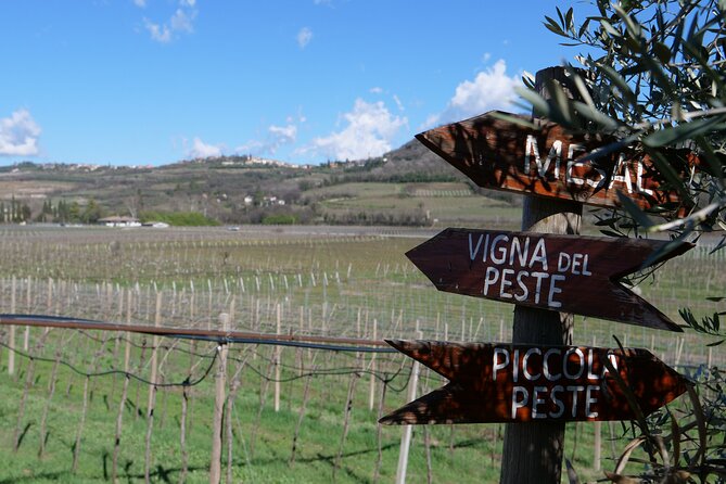 Verona - Cellar Tour and Tasting of NATURAL WINES - Starting at a working farm outside Verona