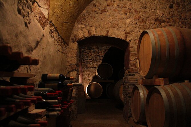 Verona - Cellar Tour and Tasting of NATURAL WINES - What the natural-wine focus means for you