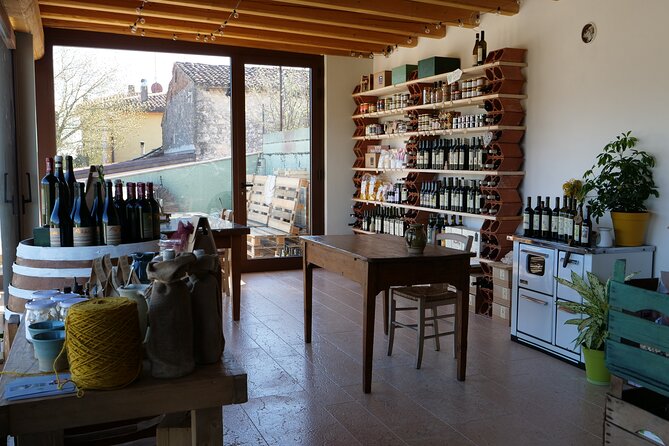 Verona - Cellar Tour and Tasting of NATURAL WINES - Is the $30.04 price good value?