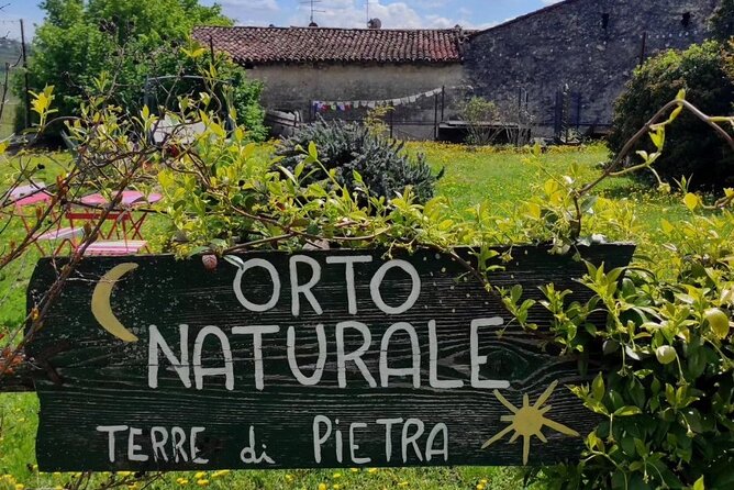 Verona - Cellar Tour and Tasting of NATURAL WINES - Who will enjoy this visit most?