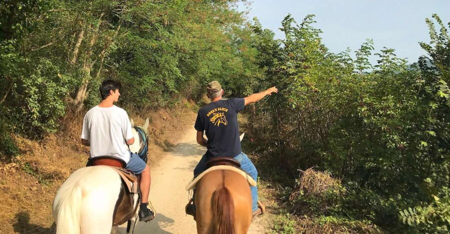Verona: Horseback Riding and Wine Tasting Experience - Key points at a glance