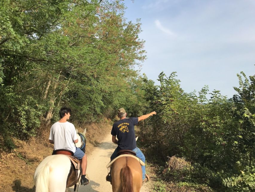 Verona: Horseback Riding and Wine Tasting Experience - Brushing the horse after the trail