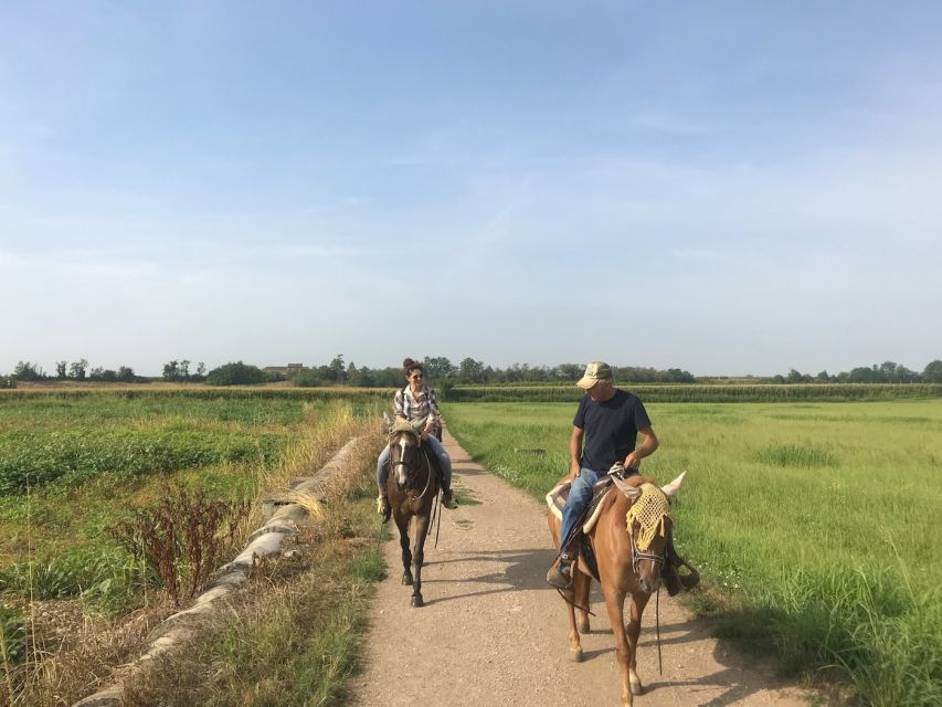 Verona: Horseback Riding and Wine Tasting Experience - Should you book the Custoza horseback and wine tour?