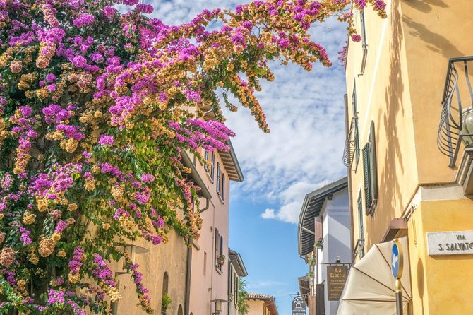 Verona Juliet's House & City PRIVATE TOUR with Ticket Included - What the private guide adds