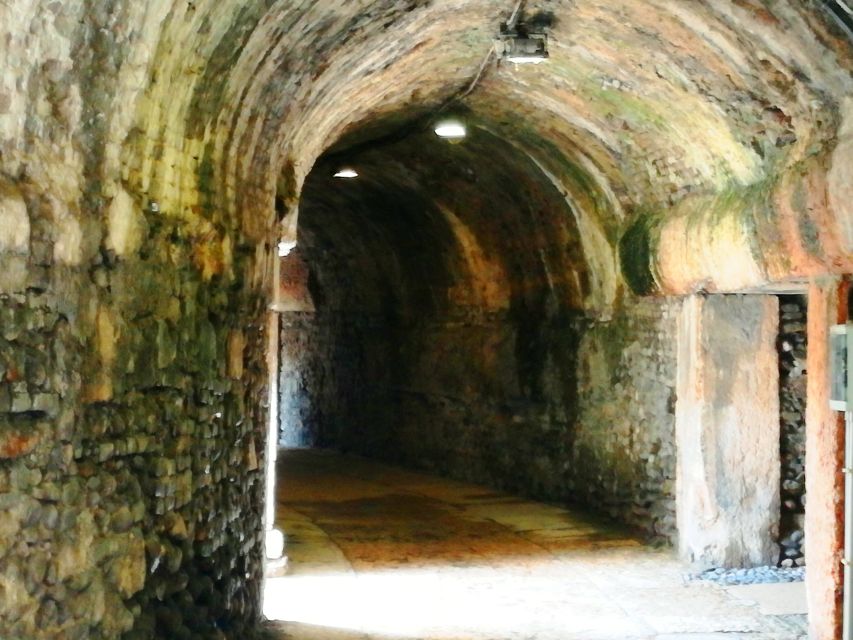 Verona: the Arena at the Gladiators' time - What the private format is worth at $159