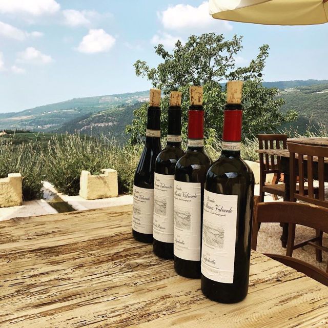 Verona: Vineyard and Winery Tour with Wine Tasting - Who will enjoy this winery visit most?