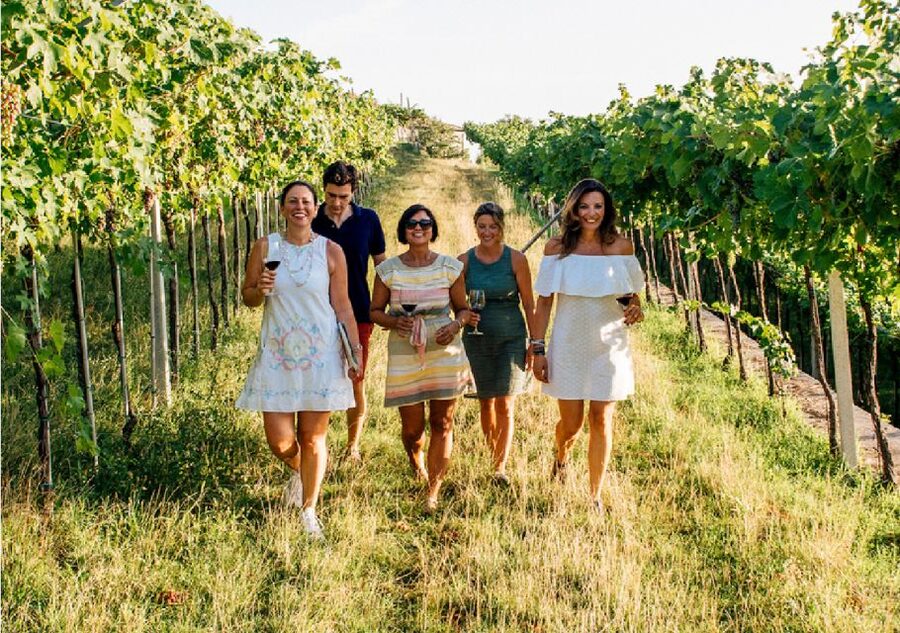 Verona: Vineyard and Winery Tour with Wine Tasting - The tasting: Valpolicella, Ripasso, and Amarone