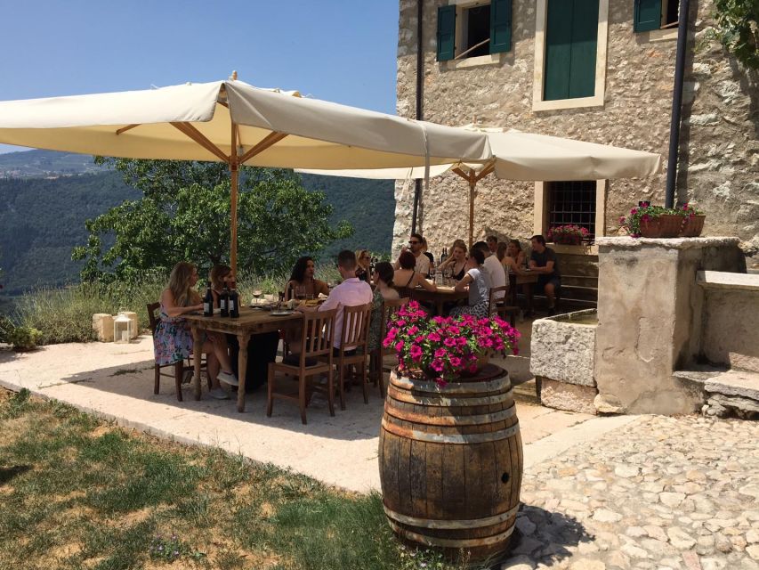 Verona: Vineyard and Winery Tour with Wine Tasting - The vineyard walk puts the wines in context