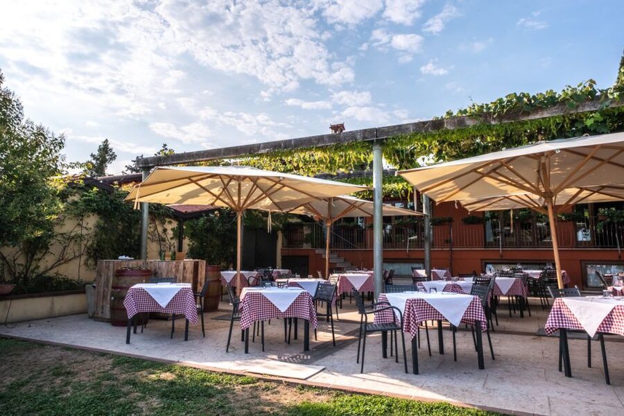 Verona: Wine Tasting with Snacks and Panoramic Views - The 30-minute walk through vines and winery