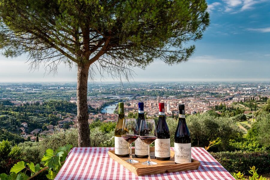 Verona: Wine Tasting with Snacks and Panoramic Views - What $53 gets you