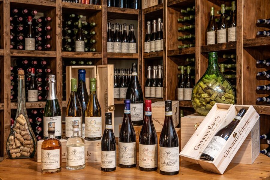 Verona: Wine Tasting with Snacks and Panoramic Views - Getting there from Verona