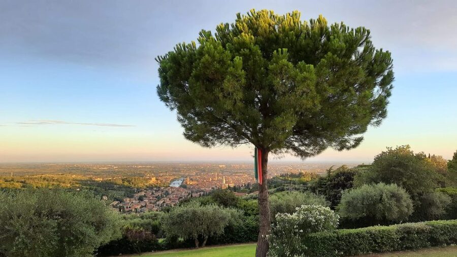 Verona: Wine Tasting with Snacks and Panoramic Views - Who will enjoy this experience most