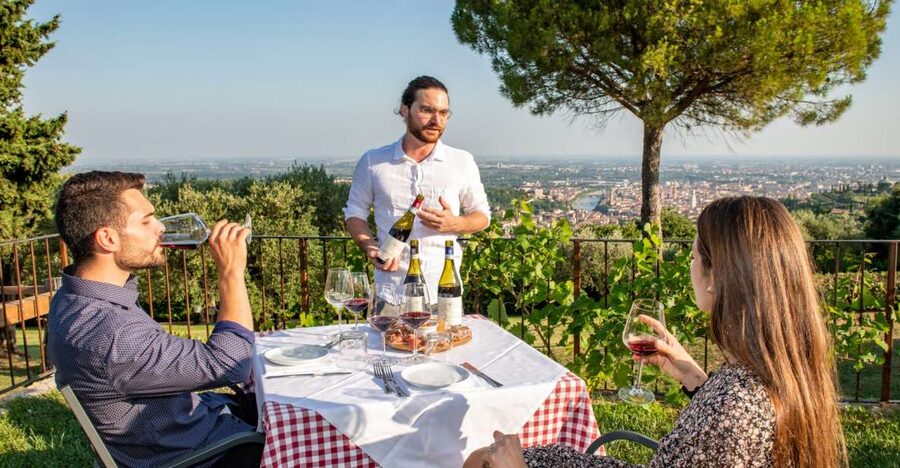 Verona: Wine Tasting with Snacks and Panoramic Views - Five wines from the Verona area