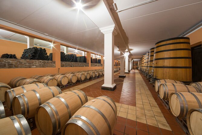 Vineyard tour with tasting of 4 wines on Garda Hills - Enrico’s clear approach to the tasting