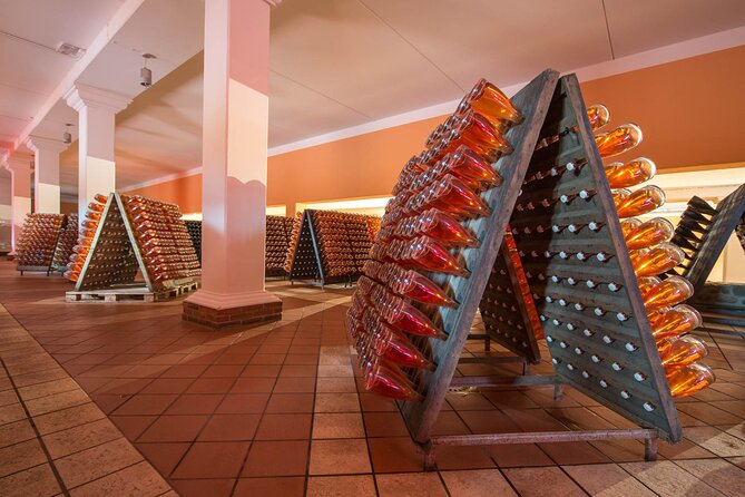 Vineyard tour with tasting of 4 wines on Garda Hills - Is $49.71 a fair price?