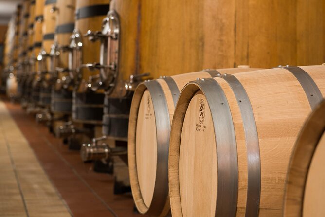 Vineyard tour with tasting of 4 wines on Garda Hills - Who will enjoy this two-hour visit?