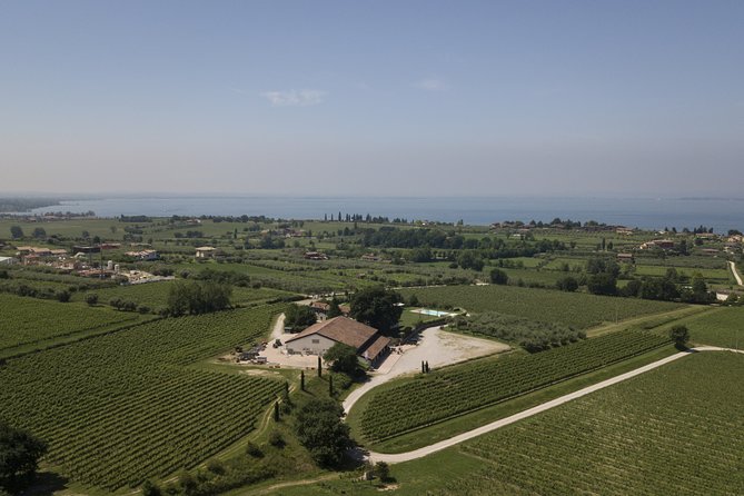 Visit and wine tasting at Tenuta La Cà - Key points to know before booking