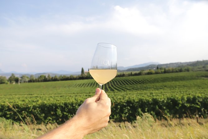 Visit and wine tasting at Tenuta La Cà - The walk to the cellar explains the winery’s approach