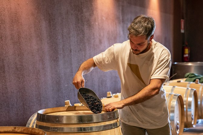 Visit and wine tasting at Tenuta La Cà - Getting there from Bardolino