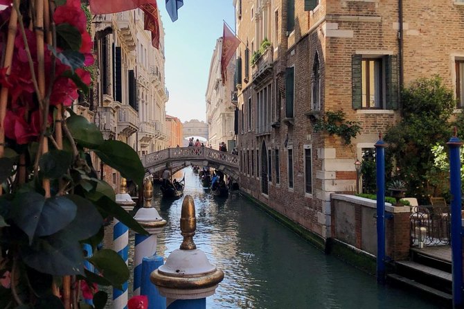 Walking Tour of Venice from St. Mark's Square to Rialto - Who will get the most from this experience?