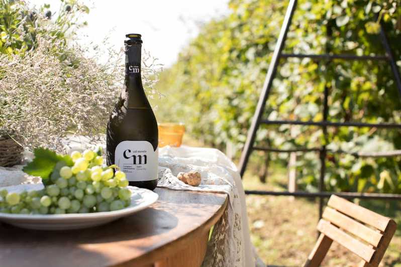 Wine Tasting: the flavors of the “Prosecco Hills” - Key points to know before booking