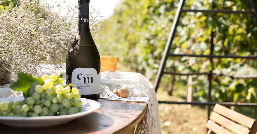 Wine Tasting: the flavors of the “Prosecco Hills” - Matching Prosecco with food from the area