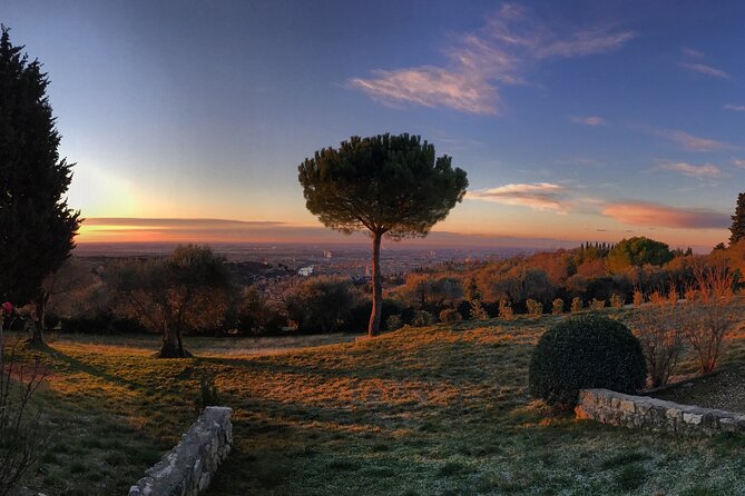 Wine Tasting with Panoramic View of Verona - A vineyard above Verona, with the city at your feet