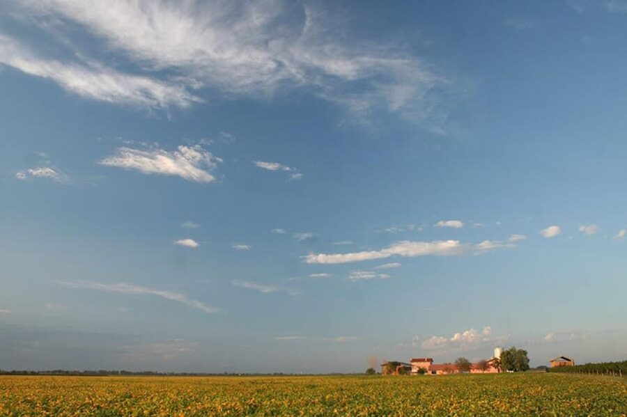 Wine Tour in the Hemingway lands close to Caorle Lagoon - Key points to know before you go