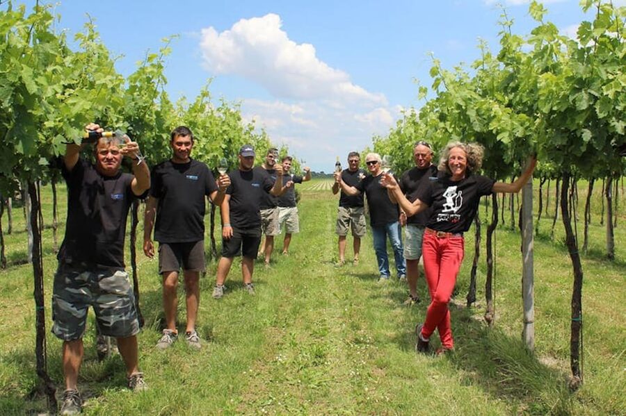 Wine Tour in the Hemingway lands close to Caorle Lagoon - The first 45 minutes, vineyard and lagoon country