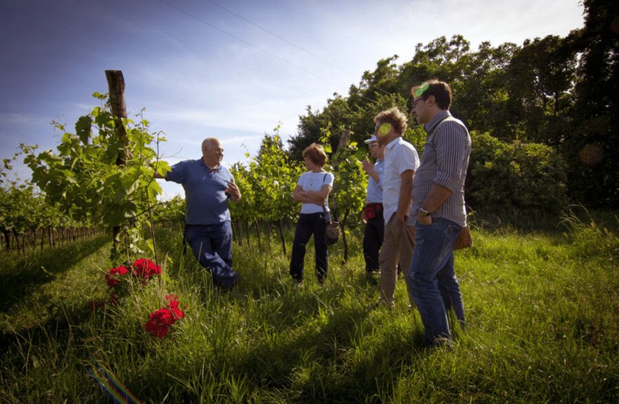 Winery Tour & Tasting on Padua Hills - Oak barrels and the effect of time