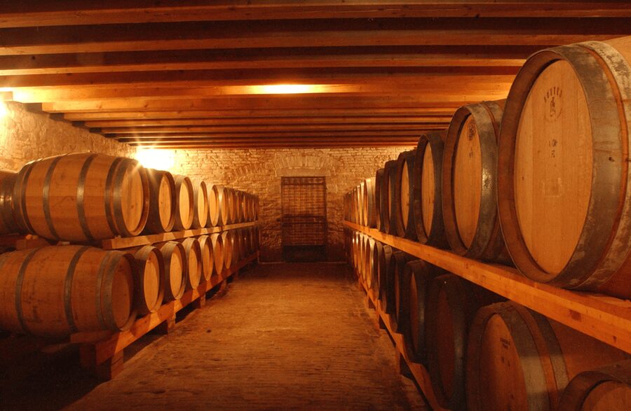 Winery Tour & Tasting on Padua Hills - Four wines from the Euganean Hills