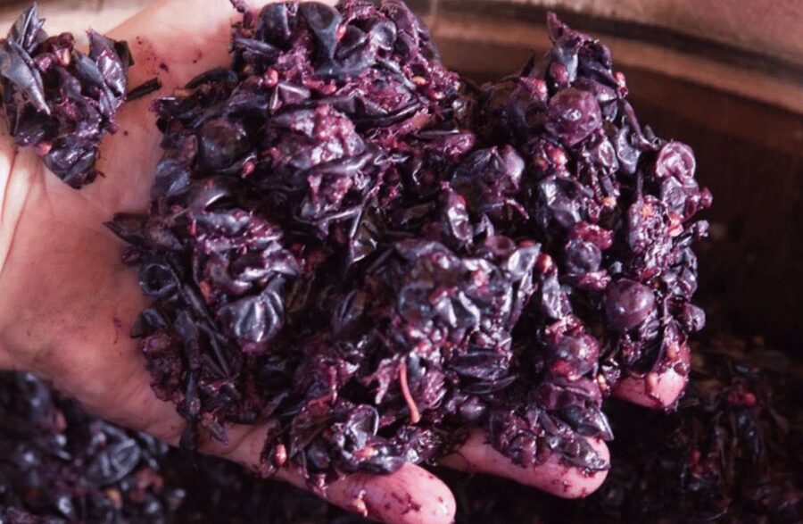 Winery Tour & Tasting on Padua Hills - A family business with a human welcome