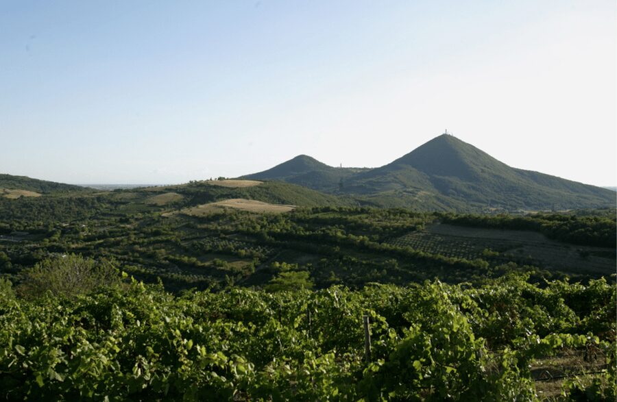 Winery Tour & Tasting on Padua Hills - Is $53.01 a fair price?